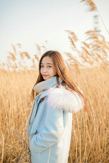 你是我的荣耀电视剧免费观看完整版